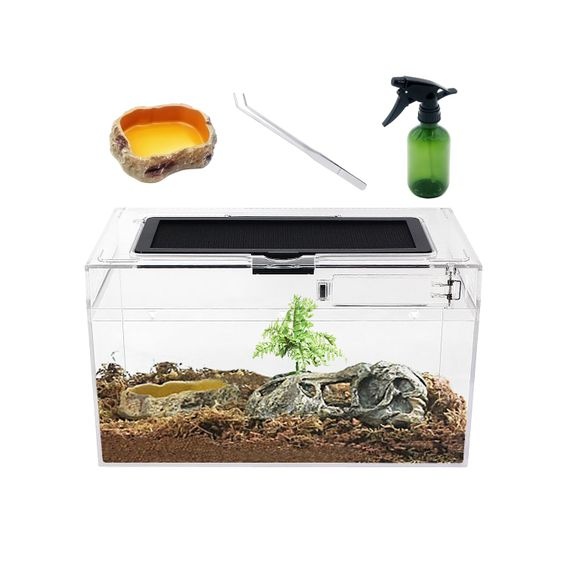 Sada mini terária pro plazy, 30,5 cm x 18,5 cm x 15 cm, nízká nádrž pro plazy s plným výhledem,