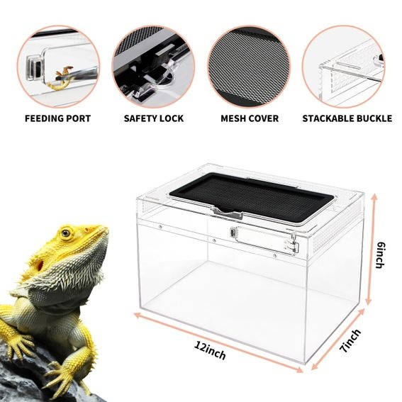 Sada mini terária pro plazy, 30,5 cm x 18,5 cm x 15 cm, nízká nádrž pro plazy s plným výhledem,
