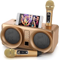 Karaoke RUBEHOOW SD-307 zlatý
