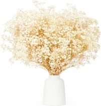 Dekorace sušených sušených květin KAOHONG Gypsophila Více…