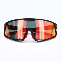 Sluneční brýle Queshark QE56 