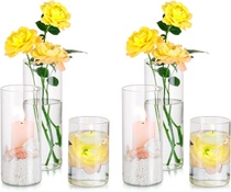Sada 6 ks skleněných váz na květiny ‎Hewory