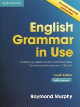 Kniha anglická gramatika s odpověďmi: Referenční a…