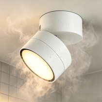 EBION Bodové svítidlo IP65 do koupelny, bílé