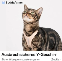 Postroj pre mačku BuddyArmor veľ. M