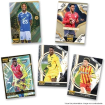 Zberateľské karty Panini Ligue 1 ICONZ