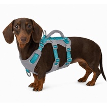 Postroj pro psa Huntboo HD09-Teal Blue-XS XS