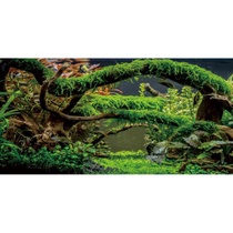 120x50cm pozadie do akvária s vetvami, pozadie do terária,…