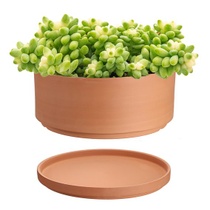 Terakotové kvetináče SUMTree, priemer 25,4 cm