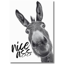 Plakát Casapixo Donkey Nice Ass A3 | 29,7 cm x 42 cm |…