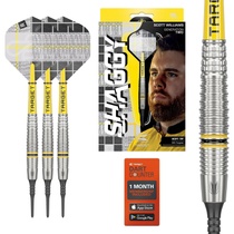 Sada šipek Target Darts stříbrná