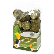 JR FARM Bezobilné krmivo pro jedno morče 950 g (1 balení)