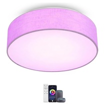 Stropní svítidlo AMZSTORY LED Ceiling Lamp
