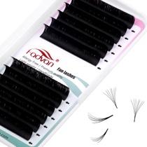 Samonavíjecí objemové řasy Easy Fan Lashes prodloužení řas…