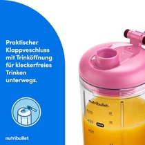 Ručný mixér Nutribullet NBP213MA