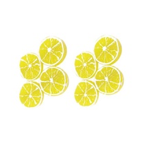 Sponky do vlasů se dvěma plátky citronu, citronové sponky…