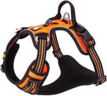 Postroj pro psa TrueLove TLH56512, vel. L