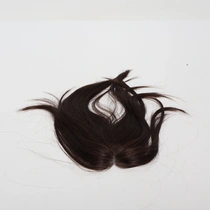 Příčesek Hair Pieces HFS078SC10-2R