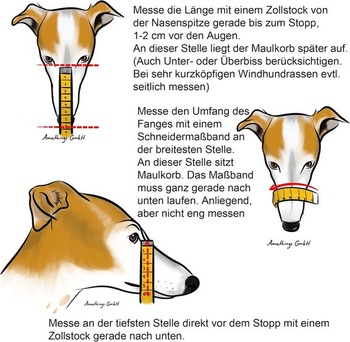 Don Pare Muzzle Model 101 v čiernom Vždy možné pitie Ideálne pre voľný beh, psiu búdu, psie dostihy,