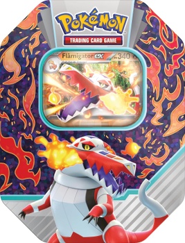 Sběratelské karty Pokémon POB48B