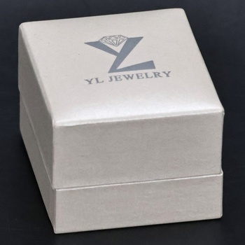 Dámský páskový prsten YL DL71110K1 stříbrný