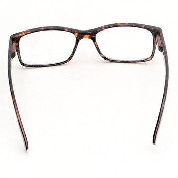Dioptrické brýle Reading Glasses Company