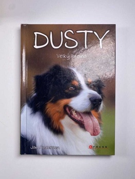 Dusty: Velký hrdina (6)