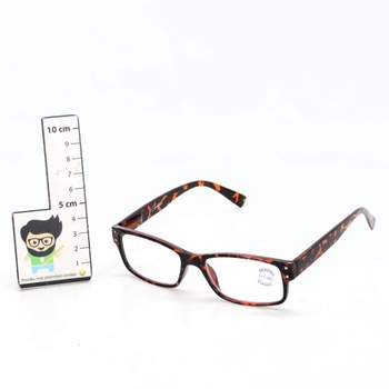 Brýle na čtení pro muže R11-1-100_PE 