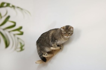 Dřevěný žebřík pro kočky EYENIMAL, délka 38 cm, s jutou