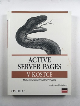 Keyton A. Weissinger: Active Server Pages v kostce –…