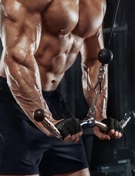 Fitness rukavice KUTOOK Tréninkové rukavice Sportovní rukavice Posilovací rukavice Muži Ženy Krátké