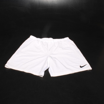 Pánské šortky Nike CW3855