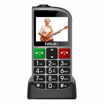 Mobilní telefon Evolveo easyphone FM stříbrn