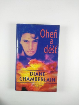 Diane Chamberlainová: Oheň a déšť