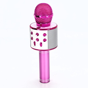Karaoke Mikrofon Dream Fun růžový