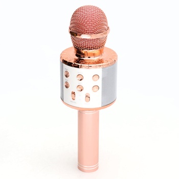 Mikrofon ‎GeschenPark pro děti 