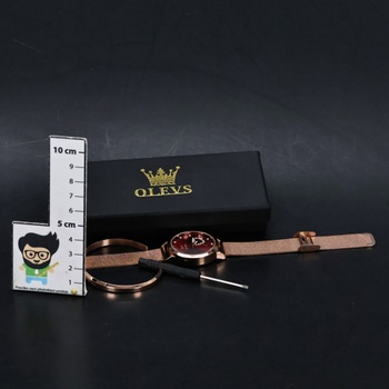 Dámské hodinky OLEVS OLS-DE-L5189GM-MR 