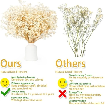 Dekorace sušených sušených květin KAOHONG Gypsophila Více než 3500 poupat Bílé přírodní sušené