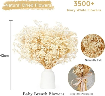 Dekorace sušených sušených květin KAOHONG Gypsophila Více než 3500 poupat Bílé přírodní sušené