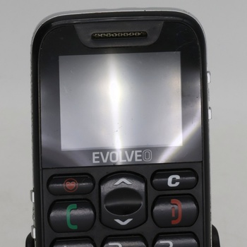 Mobilní telefon Evolveo EasyPhone EP-500 