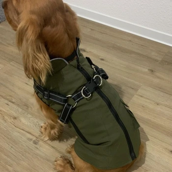 Woiil Dog Coat Zimná bunda pre psa zelená L