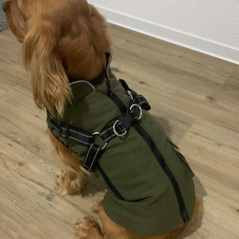 Woiil Dog Coat Zimní bunda pro psa zelená L