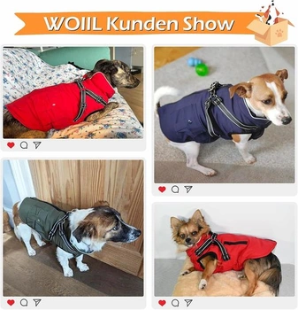 Woiil Dog Coat Zimná bunda pre psa zelená L