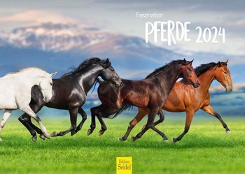 Edice Seidel Premium Kalendář Fascinace Koně 2024 DIN A3 Nástěnný kalendář Koňský kalendář Zvířata
