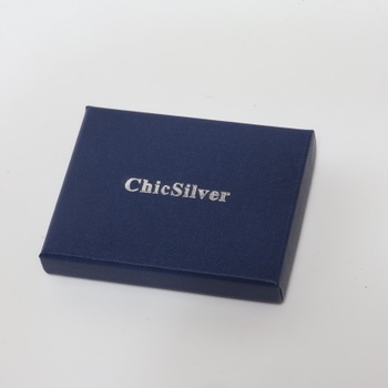 ChicSilver Stříbrné náušnice přátelství napichovací náušnice Dámské napichovací náušnice s písmenem