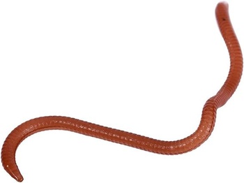 Falošná dážďovka pinworm rybárska návnada, rybárska soft bait dážďovka návnada, 17-18 kusov