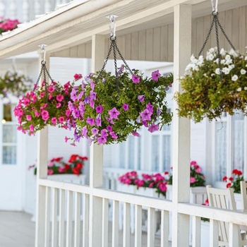 Winter Shore M8 štvorcové oko s očkom s karabínou z nerezovej ocele [balenie 2 ks] - Robustné stropné