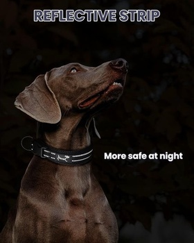 PETTOM Obojok pre psov Nastaviteľný nylonový obojok pre psov Priedušný reflexný obojok (čierny L)