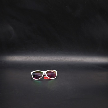 Sluneční brýle Alpina LUZY A8571310