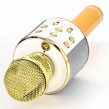 Karaoke zlatý mikrofón Tikimoon